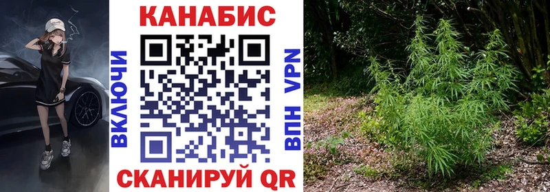 Наркошоп купить Конопля COCAIN LSD-25 Меф мяу мяу Приозерск