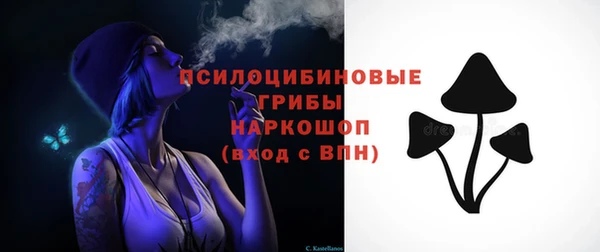 крисы Новый Уренгой