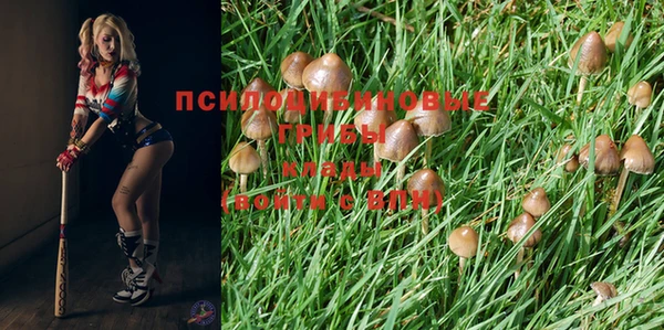 крисы Новый Уренгой