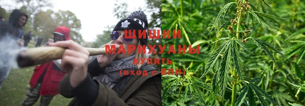крисы Новый Уренгой