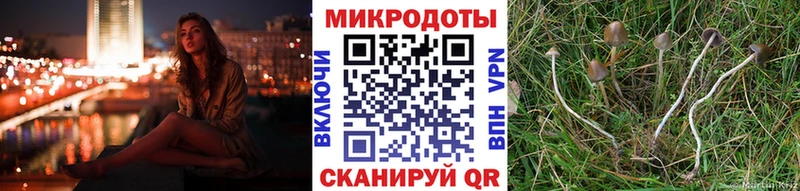 Галлюциногенные грибы мицелий  Купить закладки  Приозерск 